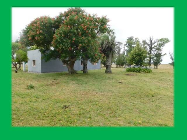 #109 - Quinta para Venta en Maldonado - UY-MA - 2