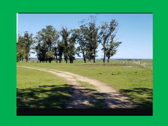 #109 - Quinta para Venta en Maldonado - UY-MA - 3