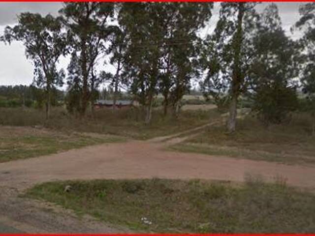 #115 - Quinta para Venta en Maldonado - UY-MA - 2